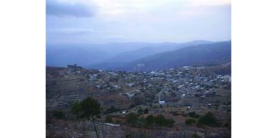 Fotos de Abejones