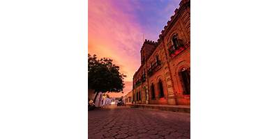 Fotos de Álamos