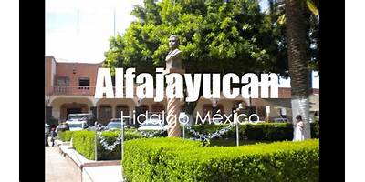 Fotos de ALFAJAYUCAN