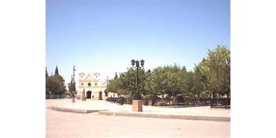 Fotos de Castaños