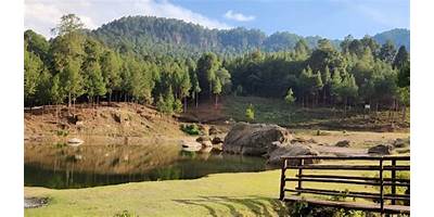 Fotos de CEDRAL