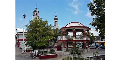 Fotos de Ebano