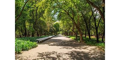 Fotos de El Bosque
