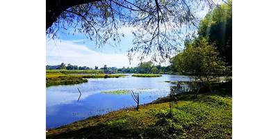 Fotos de EL PORVENIR
