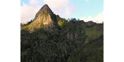 Fotos de Guevea De Humboldt