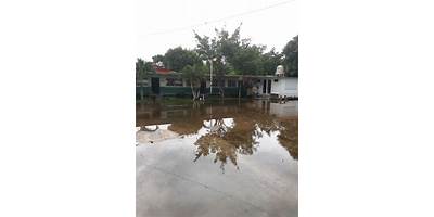 Fotos de JAMAPA