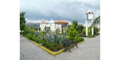 Fotos de NOPALUCAN