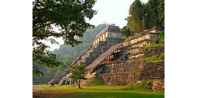 Fotos de Palenque