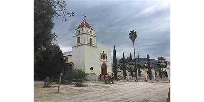 Fotos de Palmillas