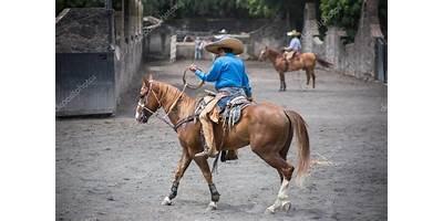 Fotos de Rodeo