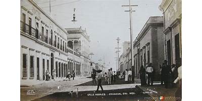 Fotos de Rosales