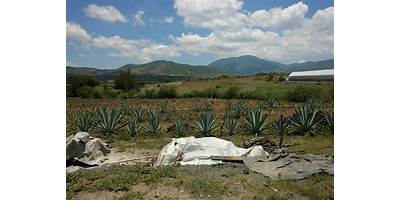 Fotos de San Baltazar Chichicápam