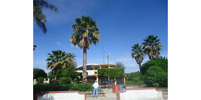 Fotos de San Pedro Yeloixtlahuaca