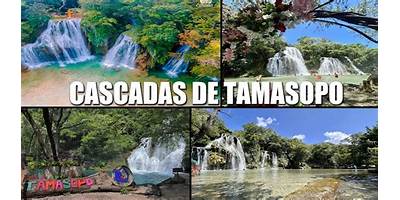 Fotos de TAMASOPO