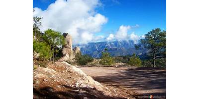 Fotos de Topia