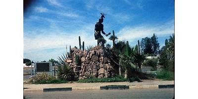 Fotos de Venado