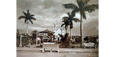 Fotos de Yanga